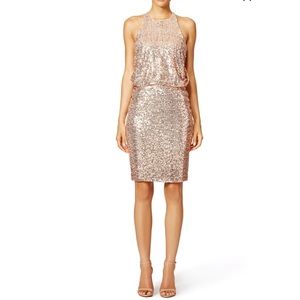 Badgley Michka Blush Maria Mini Sequin Dress 6